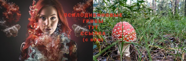 мдпв Наволоки